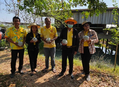 วันที่ 5 กุมภาพันธ์ 2567 ... พารามิเตอร์รูปภาพ 1